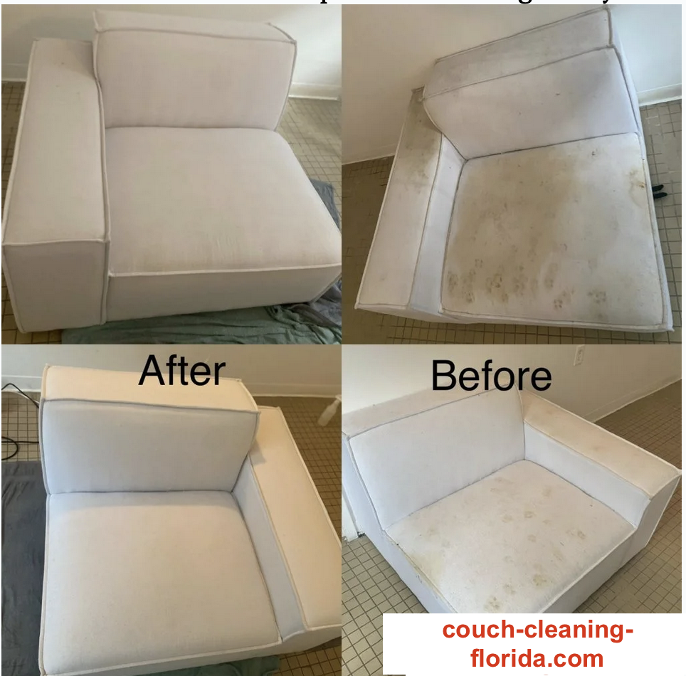 couch cleaning sunny isles