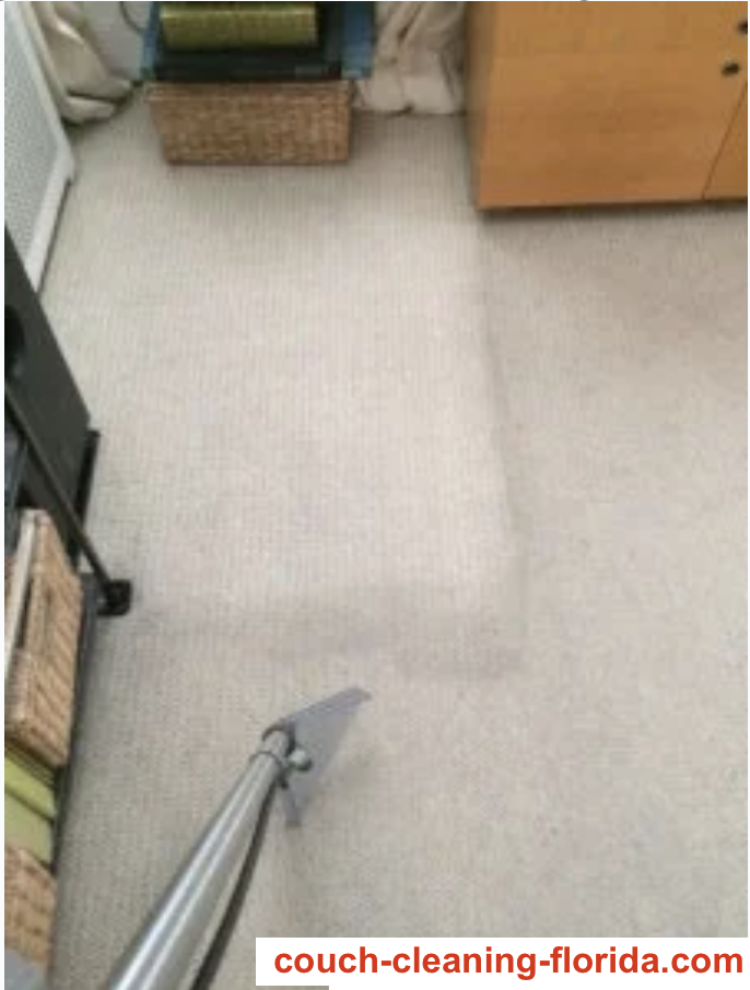wall to wall carpet cleaning miami